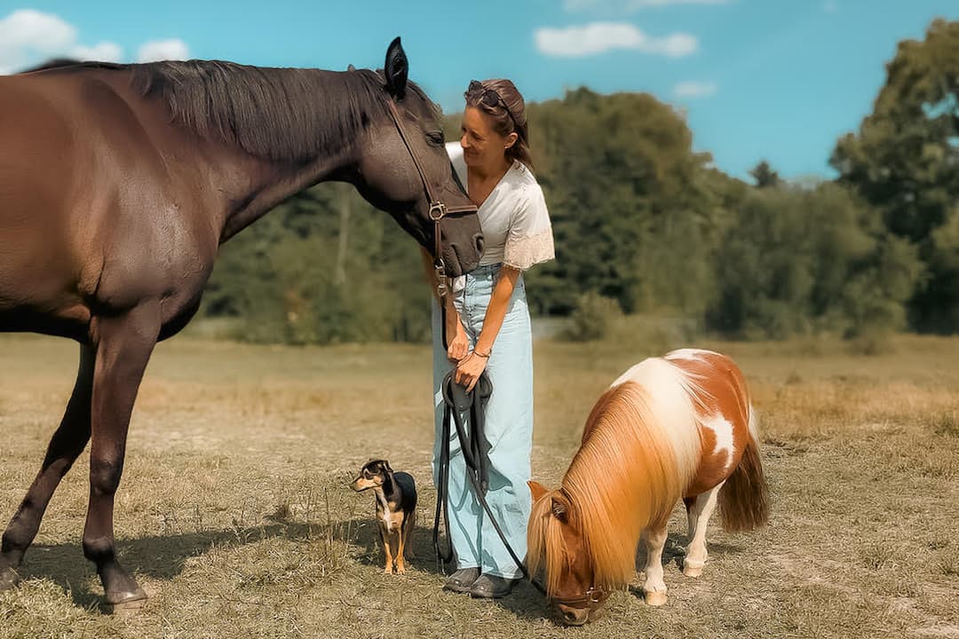 Femme avec chevaux et chien à l'Érablière du Domaine des Centaures