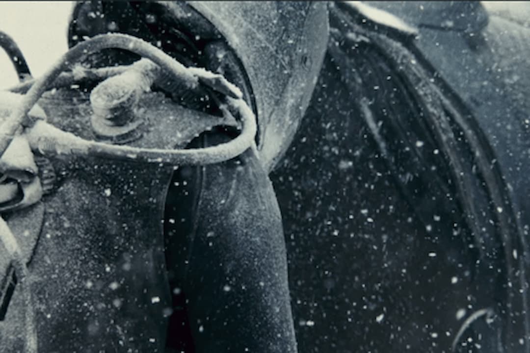 Projection du moyen métrage Lost in Time et rencontre avec Patrick Bernatchez