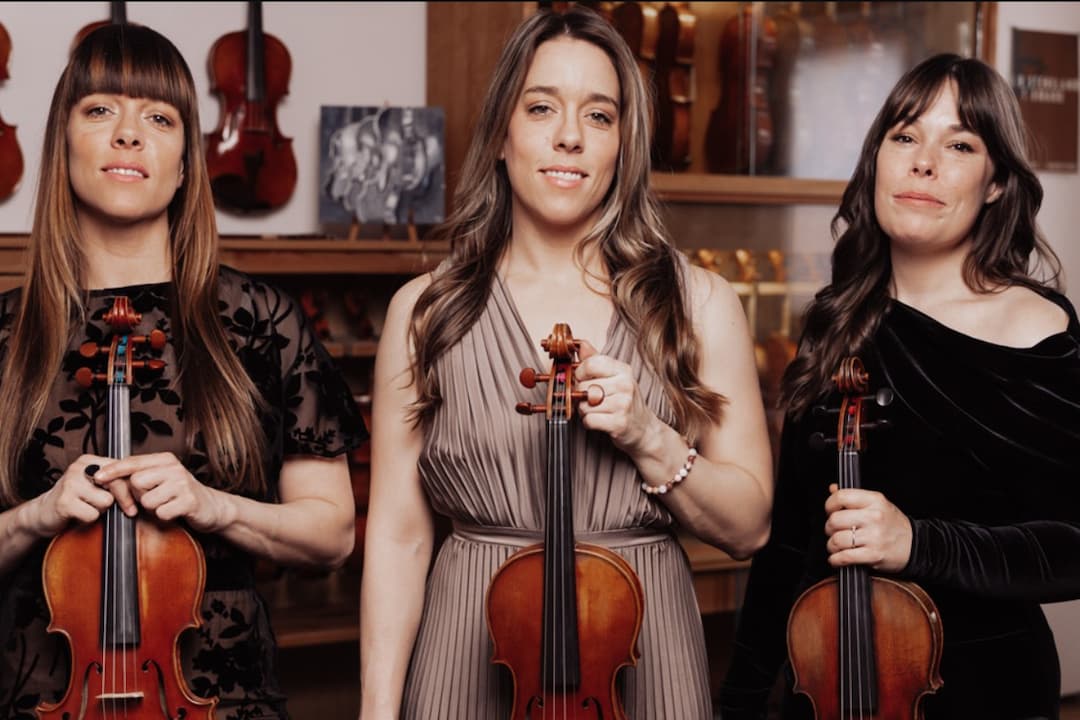 Épicéa Trio - musique TRAD