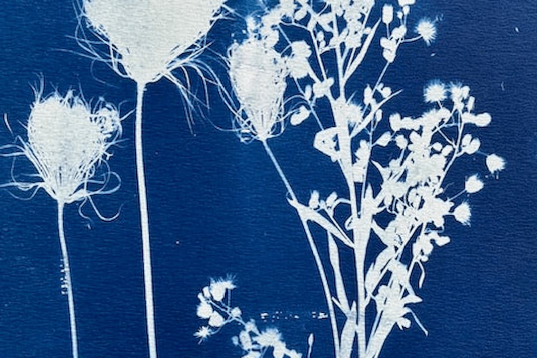 Introduction au cyanotype Atelier parents-enfants