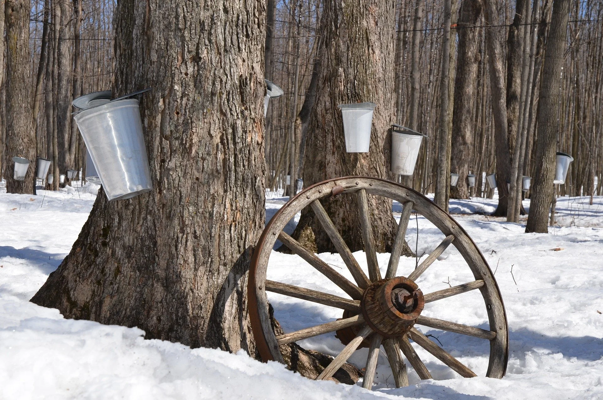 cabane à sucre, repas, traiteur, salle de réception, colloques, galas, brunch, boîtes à lunch