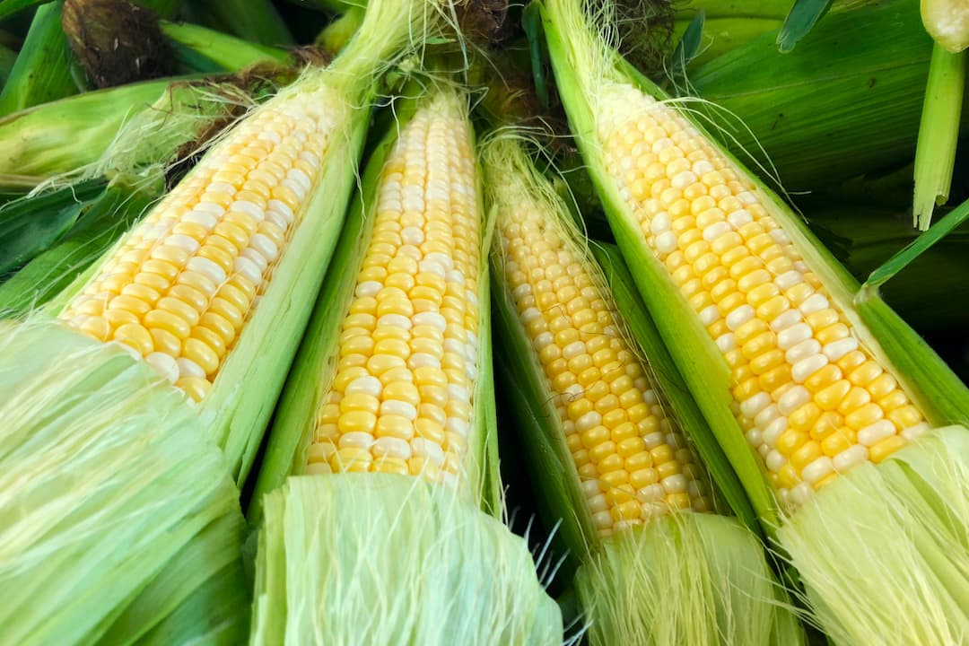 Fermemichellauzon