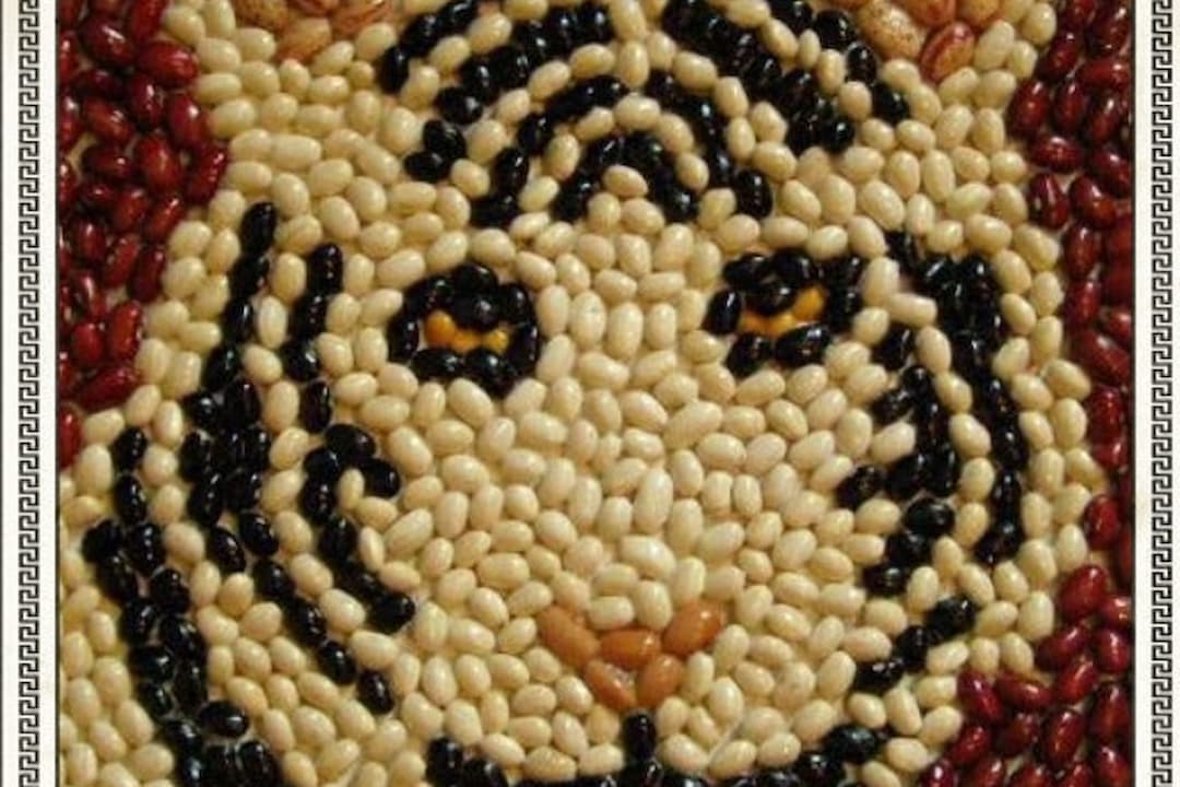 Atelier 50 ans + Mosaïque végétale