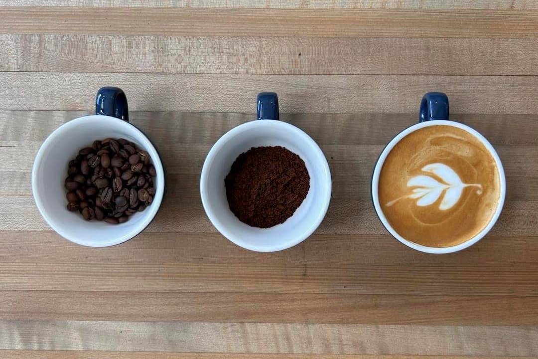 Trois tasses de café, une avec des grains entiers, celle du milieu avec des grains moulus, celle de droite est un café au lait