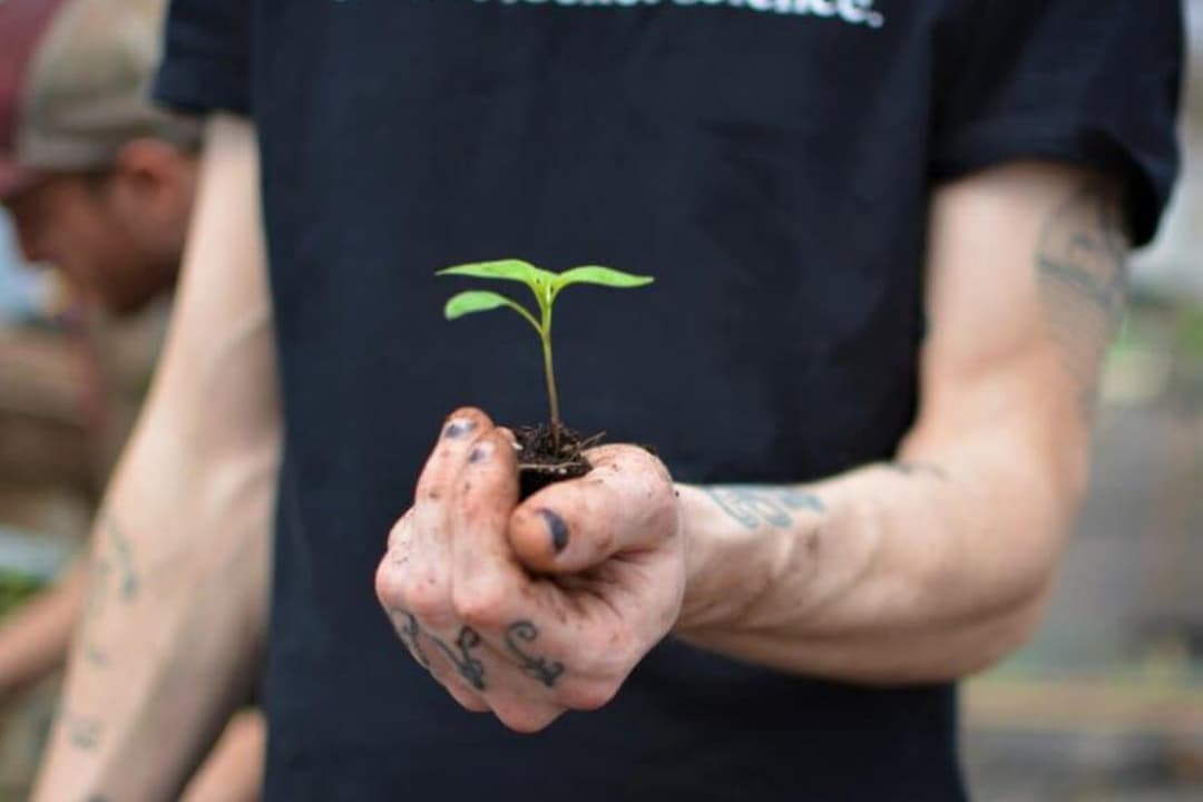 Ferme La Roquette, personne tenant une pousse de plante dans sa main