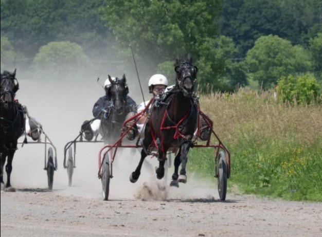 Courses de chevaux