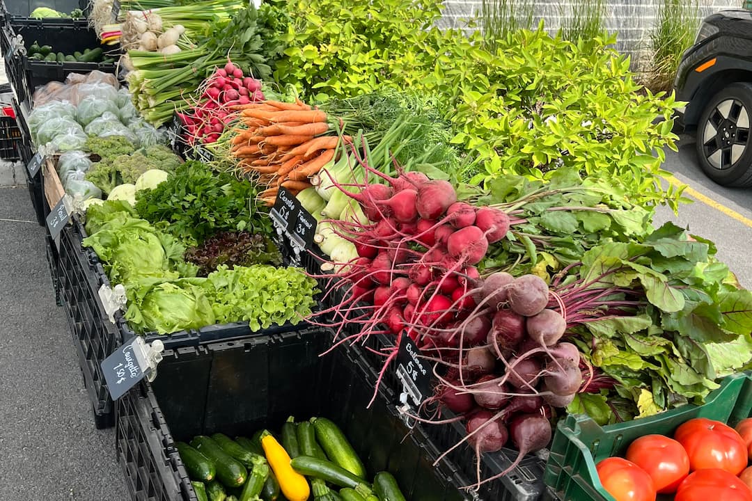Ferme La Roquette, personne tenant une pousse de plante dans sa main